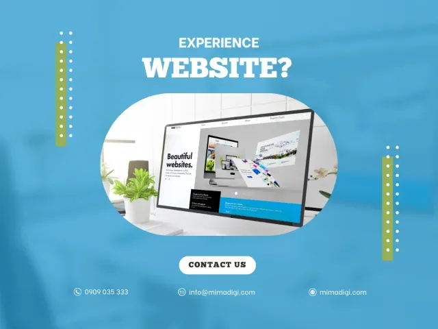 Website Design Experience