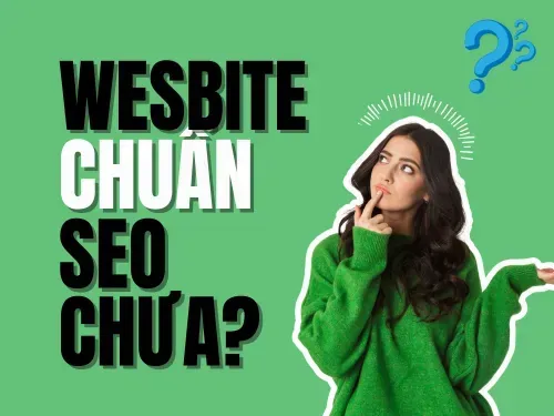 How to Check If Your Website Has Been Optimized for Google SEO?