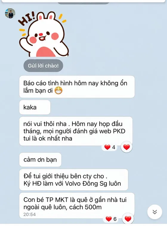 Screenshot of a customer message sent to MIMA