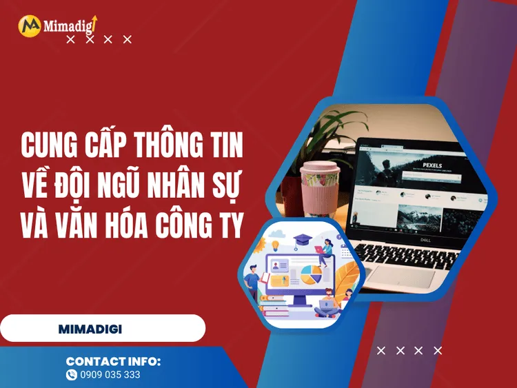 Cung cấp thông tin về đội ngũ nhân sự và văn hóa công ty tại MIMA