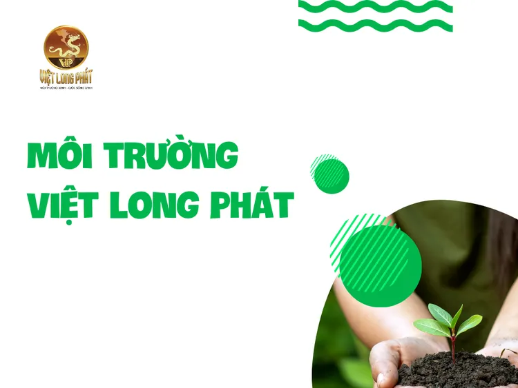 Environmental Website Design Project for Viet Long Phat with MIMADIGI