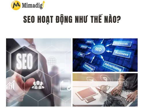 SEO là gì? Hướng dẫn SEO cơ bản cho người mới bắt đầu cùng MIMADIGI