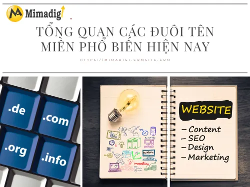 Các loại tên miền phổ biến: .com, .vn, .net, .org và cách chọn lựa phù hợp cùng MIMADIGI