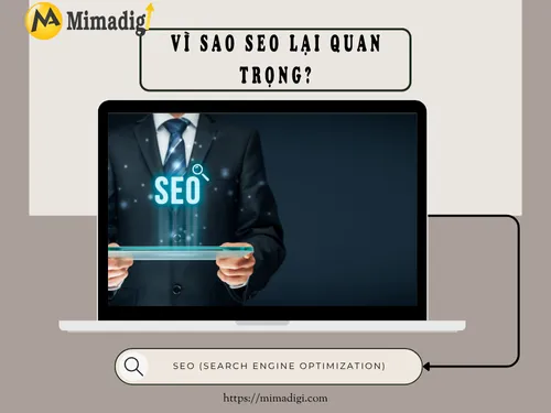 SEO là gì? Hướng dẫn SEO cơ bản cho người mới bắt đầu cùng MIMADIGI
