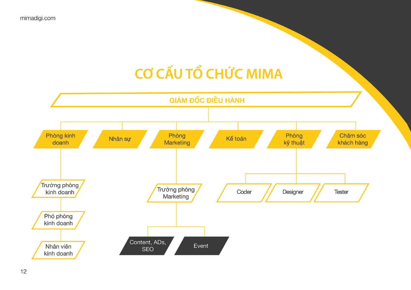 MIMA company profile — page 12